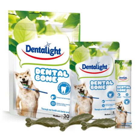 Dentalight - Bone 3"