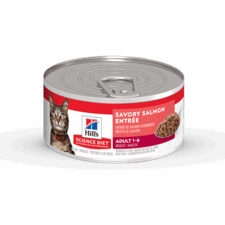 Hill´s - Science Diet - Adult Salmon