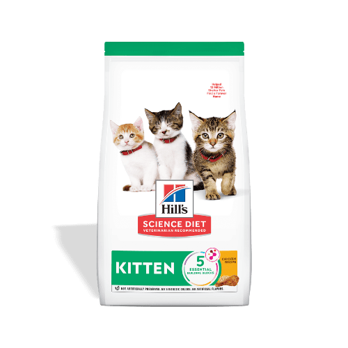 Hills Science Diet Gato - Gatito Pollo