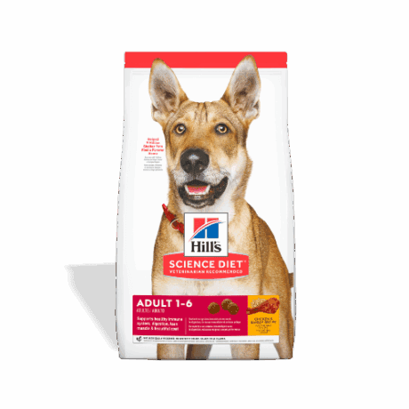 Hill´s - Science Diet - Adult Original Bites Pollo y Cebada